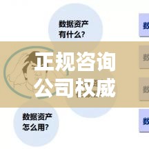 正規(guī)咨詢公司權威排名榜，揭秘行業(yè)領軍力量