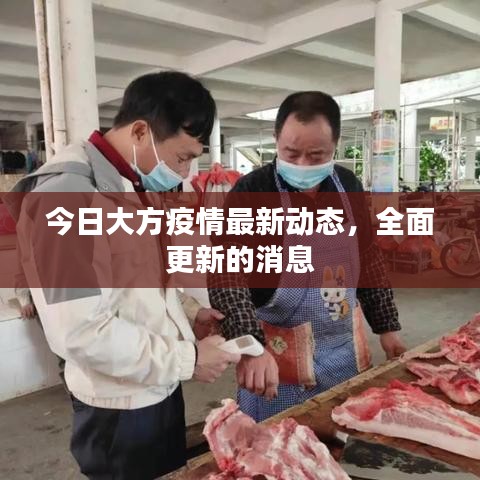 今日大方疫情最新動態(tài)，全面更新的消息