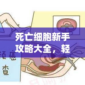 死亡細胞新手攻略大全，輕松上手游戲秘籍！