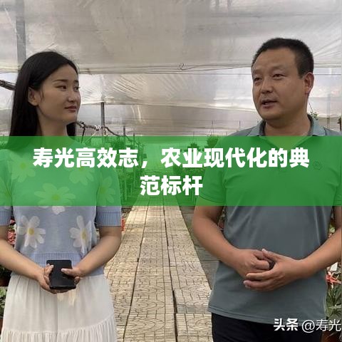 壽光高效志，農(nóng)業(yè)現(xiàn)代化的典范標(biāo)桿