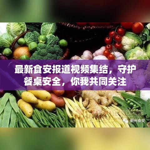 最新食安報道視頻集結(jié)，守護(hù)餐桌安全，你我共同關(guān)注