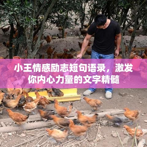 小王情感勵(lì)志短句語錄，激發(fā)你內(nèi)心力量的文字精髓