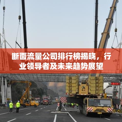 斷面流量公司排行榜揭曉，行業(yè)領(lǐng)導(dǎo)者及未來趨勢展望