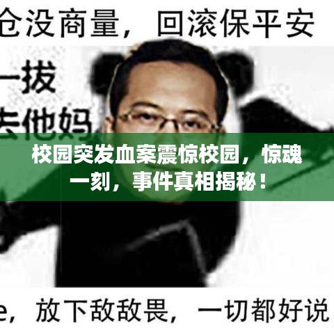 校園突發(fā)血案震驚校園，驚魂一刻，事件真相揭秘！