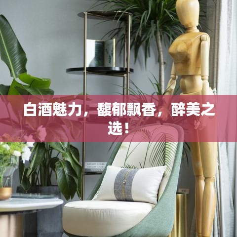白酒魅力，馥郁飄香，醉美之選！
