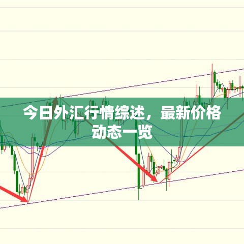 今日外匯行情綜述，最新價格動態(tài)一覽