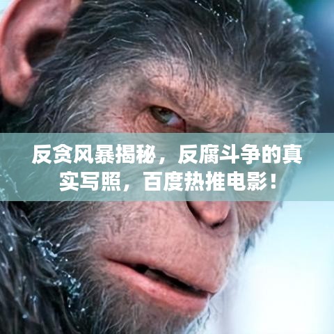 反貪風暴揭秘，反腐斗爭的真實寫照，百度熱推電影！