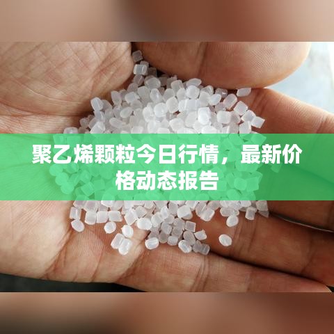 聚乙烯顆粒今日行情，最新價格動態(tài)報告