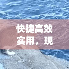 快捷高效實(shí)用，現(xiàn)代生活的首選生活方式