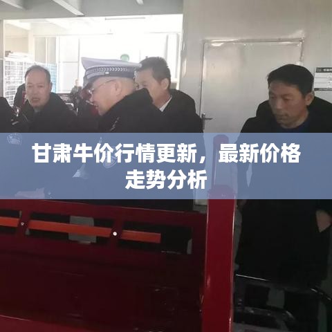甘肅牛價(jià)行情更新，最新價(jià)格走勢(shì)分析