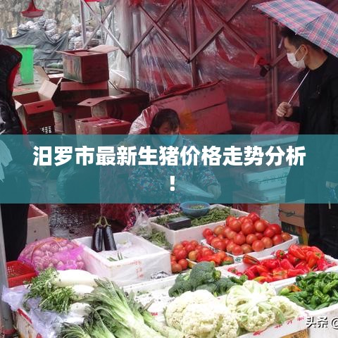 汨羅市最新生豬價(jià)格走勢(shì)分析！