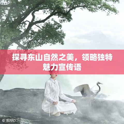 探尋東山自然之美，領(lǐng)略獨(dú)特魅力宣傳語(yǔ)