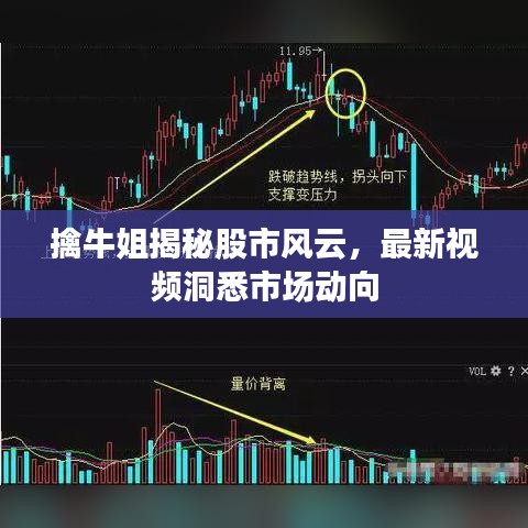 擒牛姐揭秘股市風(fēng)云，最新視頻洞悉市場(chǎng)動(dòng)向