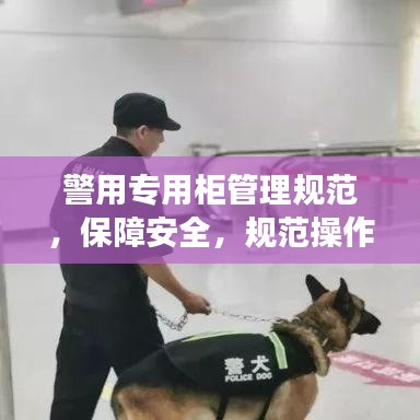警用專(zhuān)用柜管理規(guī)范，保障安全，規(guī)范操作，提升警務(wù)效率