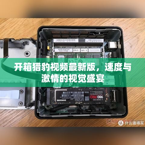 開箱獵豹視頻最新版，速度與激情的視覺盛宴