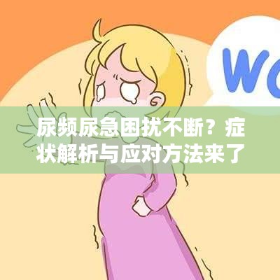尿頻尿急困擾不斷？癥狀解析與應(yīng)對(duì)方法來了！
