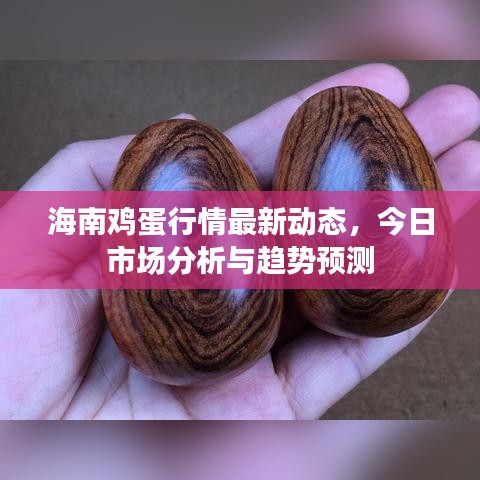 海南雞蛋行情最新動(dòng)態(tài)，今日市場(chǎng)分析與趨勢(shì)預(yù)測(cè)