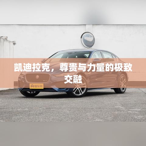 凱迪拉克，尊貴與力量的極致交融
