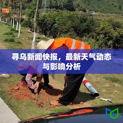 尋烏新聞快報，最新天氣動態(tài)與影響分析