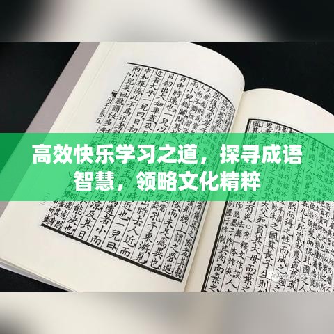高效快樂學習之道，探尋成語智慧，領略文化精粹