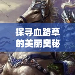 探尋血路草的美麗奧秘，百度圖片帶你領(lǐng)略血路草的風采