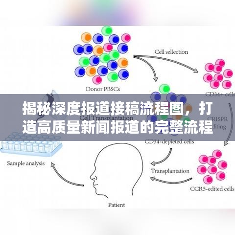 揭秘深度報道接稿流程圖，打造高質(zhì)量新聞報道的完整流程揭秘