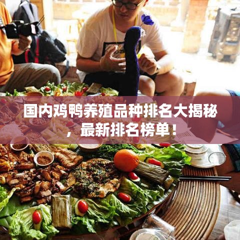 后會(huì)難期 第2頁