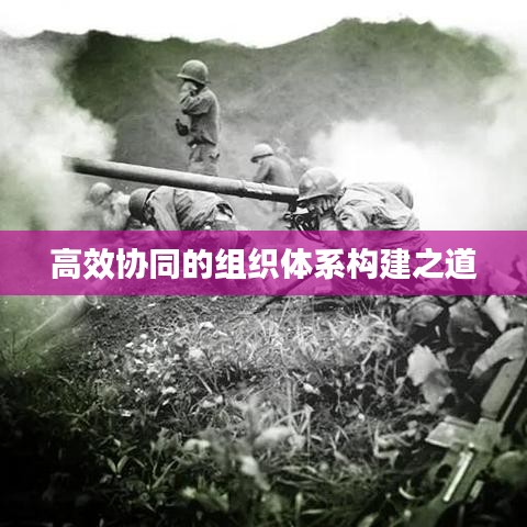 高效協(xié)同的組織體系構建之道