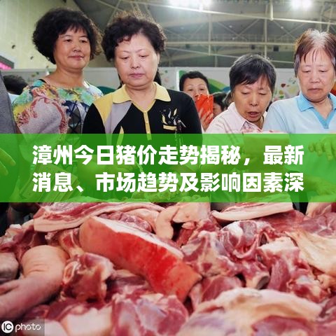 漳州今日豬價走勢揭秘，最新消息、市場趨勢及影響因素深度解析