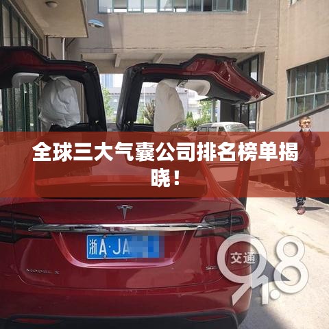 全球三大氣囊公司排名榜單揭曉！
