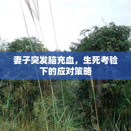 妻子突發(fā)腦充血，生死考驗(yàn)下的應(yīng)對(duì)策略