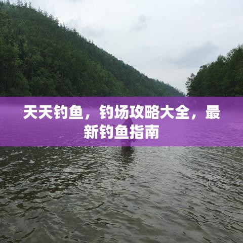 天天釣魚，釣場攻略大全，最新釣魚指南