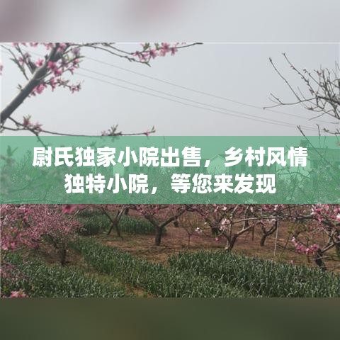 尉氏獨家小院出售，鄉(xiāng)村風(fēng)情獨特小院，等您來發(fā)現(xiàn)
