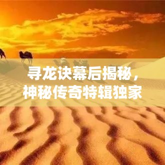 尋龍?jiān)E幕后揭秘，神秘傳奇特輯獨(dú)家呈現(xiàn)