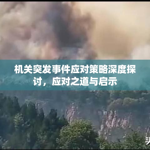 機關(guān)突發(fā)事件應(yīng)對策略深度探討，應(yīng)對之道與啟示