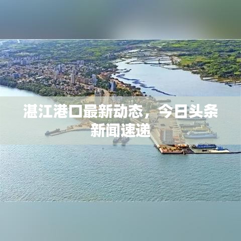 湛江港口最新動(dòng)態(tài)，今日頭條新聞速遞