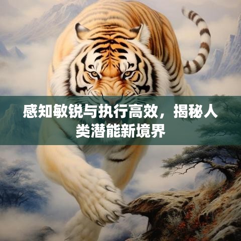 感知敏銳與執(zhí)行高效，揭秘人類潛能新境界
