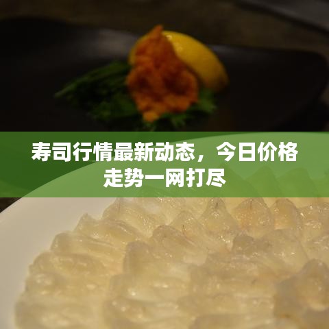 壽司行情最新動(dòng)態(tài)，今日價(jià)格走勢(shì)一網(wǎng)打盡