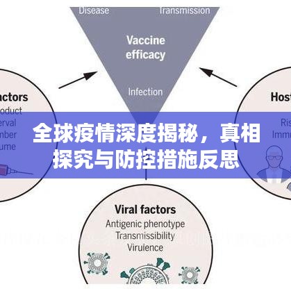 全球疫情深度揭秘，真相探究與防控措施反思
