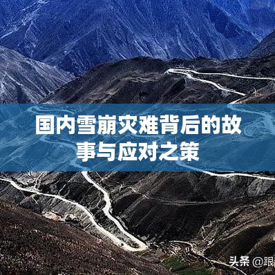 盡善盡美 第2頁