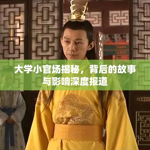 大學(xué)小官場揭秘，背后的故事與影響深度報(bào)道