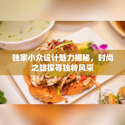 獨(dú)家小眾設(shè)計(jì)魅力揭秘，時(shí)尚之旅探尋獨(dú)特風(fēng)采