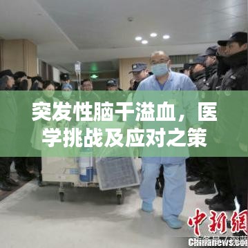 突發(fā)性腦干溢血，醫(yī)學(xué)挑戰(zhàn)及應(yīng)對(duì)之策