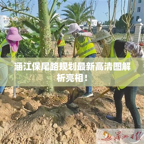 涵江保尾路規(guī)劃最新高清圖解析亮相！