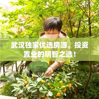 武漢獨家優(yōu)選房源，投資置業(yè)的明智之選！