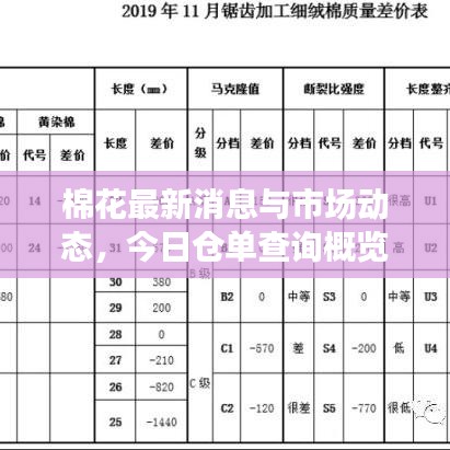 棉花最新消息與市場(chǎng)動(dòng)態(tài)，今日倉(cāng)單查詢概覽