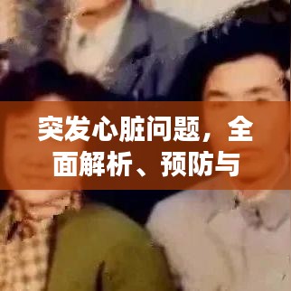突發(fā)心臟問題，全面解析、預防與應(yīng)急處理方案