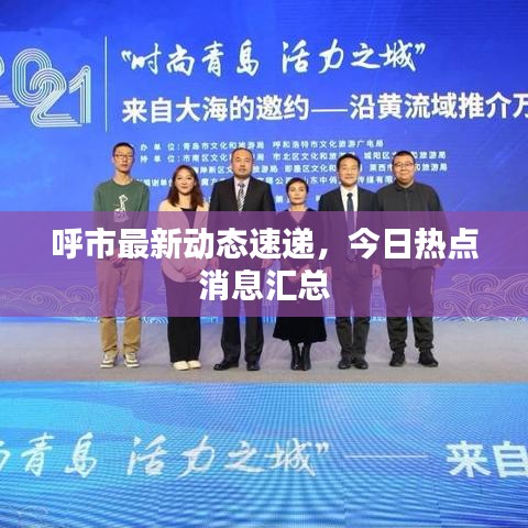 呼市最新動態(tài)速遞，今日熱點消息匯總