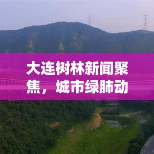 大連樹(shù)林新聞聚焦，城市綠肺動(dòng)態(tài)更新