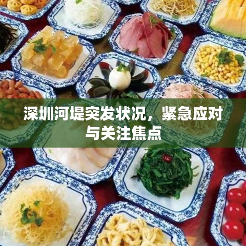 深圳河堤突發(fā)狀況，緊急應(yīng)對(duì)與關(guān)注焦點(diǎn)